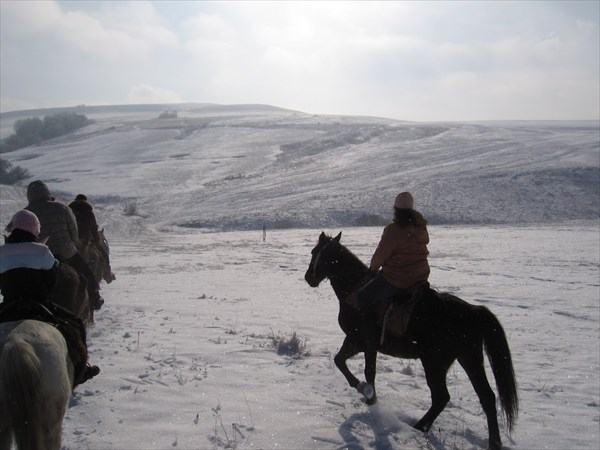 Кавказ кони